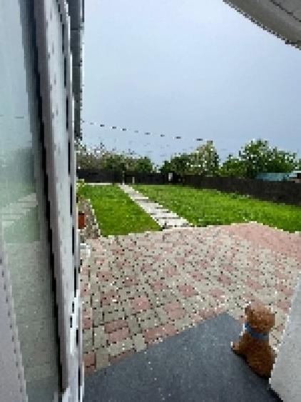 Casă cu 2 camere cu Teren 480 Mp în Păun