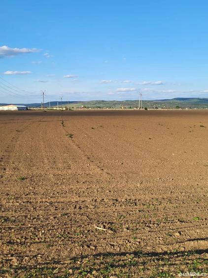 Teren de 5760 mp, în Letea Veche