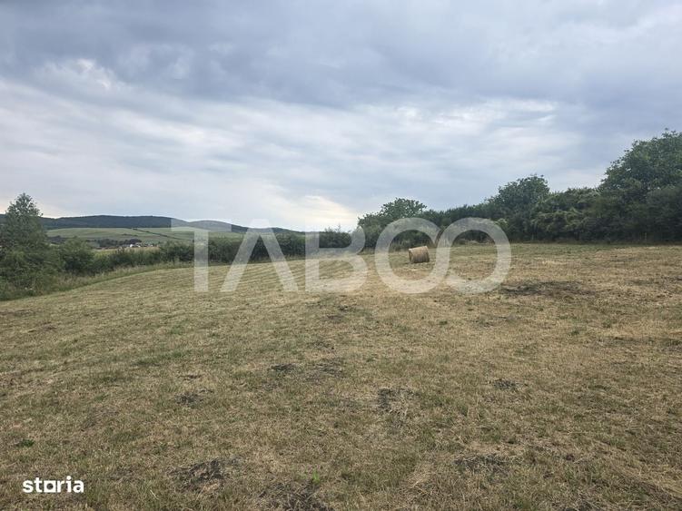 Teren de vanzare 8700 mp cu un front de 30m in Sura Mare - 3