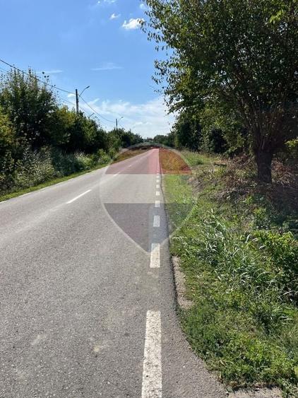 Teren agricol intravilan de 4000 mp, în Crivăț