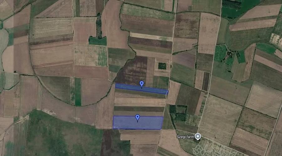 Teren arabil la Salonta 7,44 Ha - 5