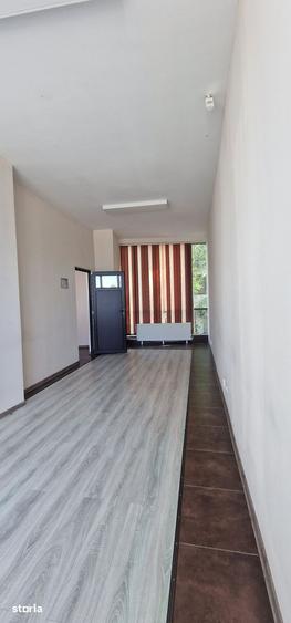 Spațiu comercial, de 240 mp, în Delfinariu