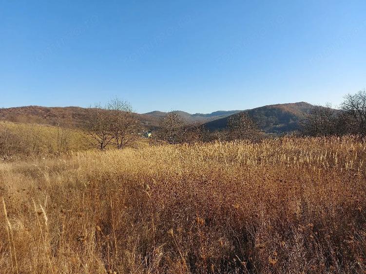 Teren de 2900 mp, în Buhoci