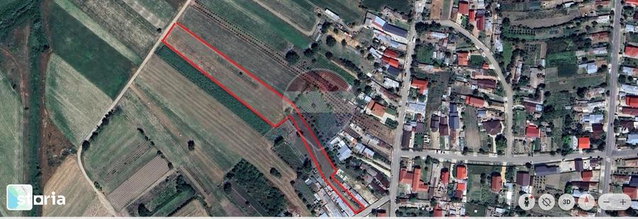 Teren de 4318 mp, în Gologanu