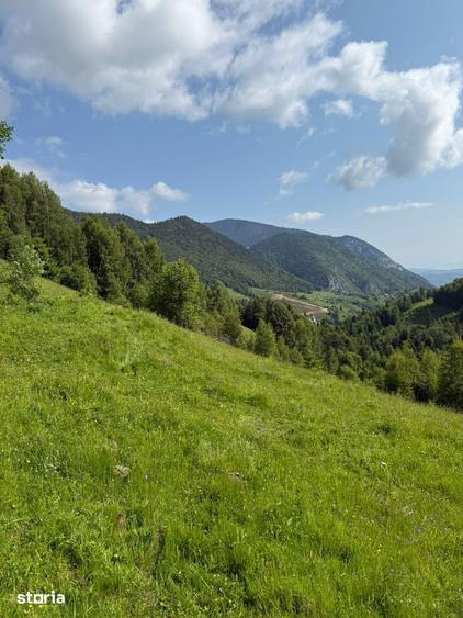 Teren de 11908 mp, în Moieciu