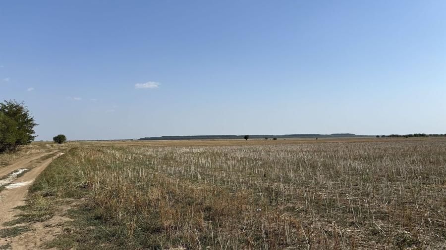 Teren Construcții intravilan de 20400 mp, în Dascălu