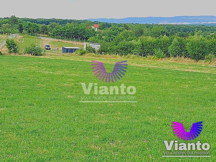 Teren agricol extravilan de 3100 mp, în Rășinari