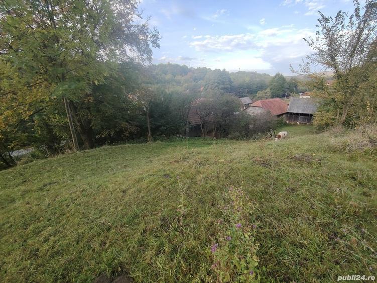 Casă cu 4 camere cu Teren 7000 Mp în Almașu Mare