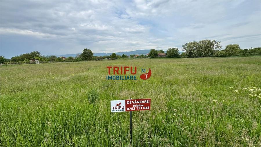 Teren Construcții intravilan de 1500 mp, în Partoș