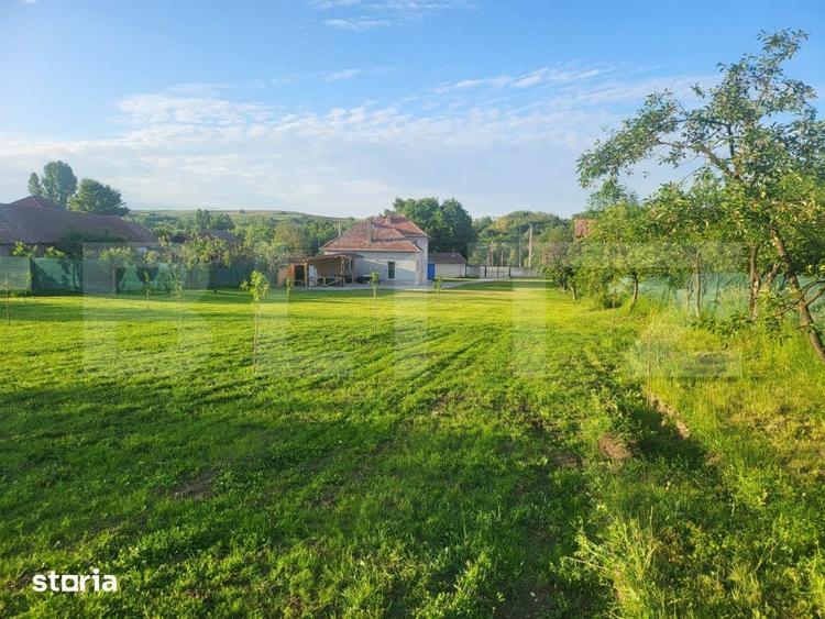 Casă cu 5 camere cu Teren 4079 Mp în Stremț