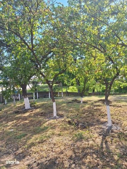 Casă cu 3 camere cu Teren 1686 Mp în Central