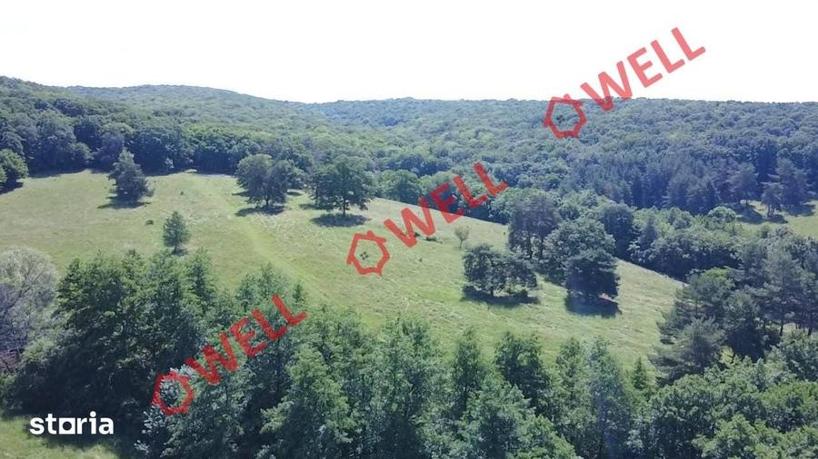 Teren de 46300 mp, în Ghidfalău