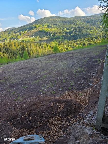 Teren de 6000 mp, în Arieșeni