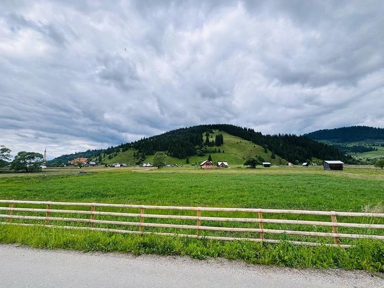 Teren de 5000 mp, în Dorna-Arini