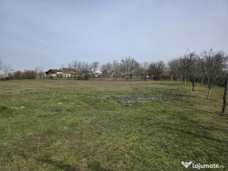Casă cu 3 camere în Central