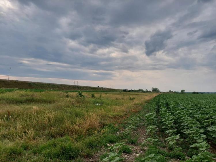 Teren agricol extravilan de 8877 mp, în Exterior Nord