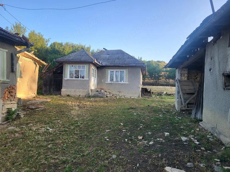 Teren de 2500 mp, în Sud