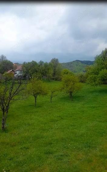 Teren de 26000 mp, în Rădăcinești