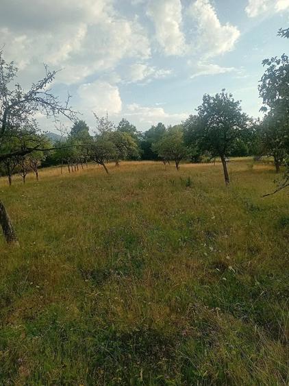 Teren de 3112 mp, în Breb