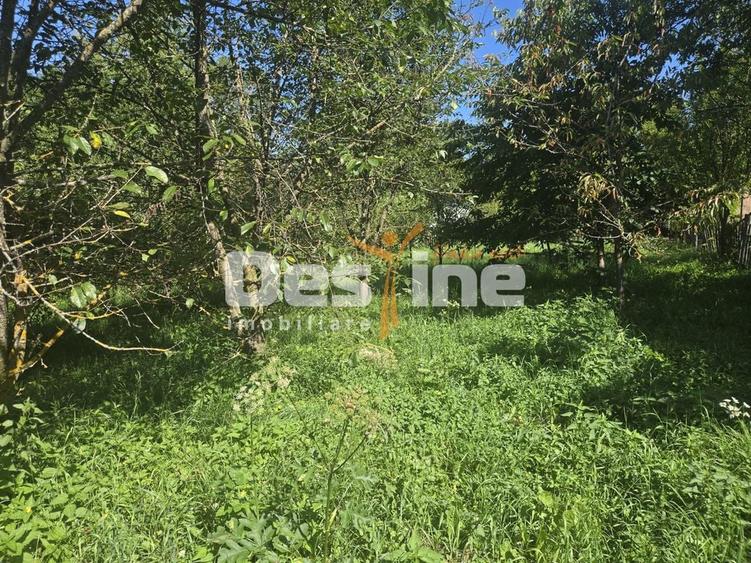 Casă cu 3 camere cu Teren 2614 Mp în Trăisteni