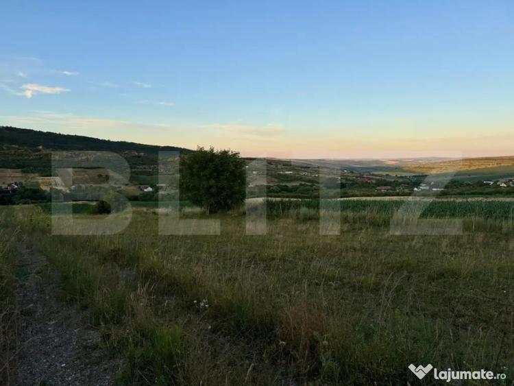 Teren extravilan in zona Dealul Fanatelor-Clyde Town - 2