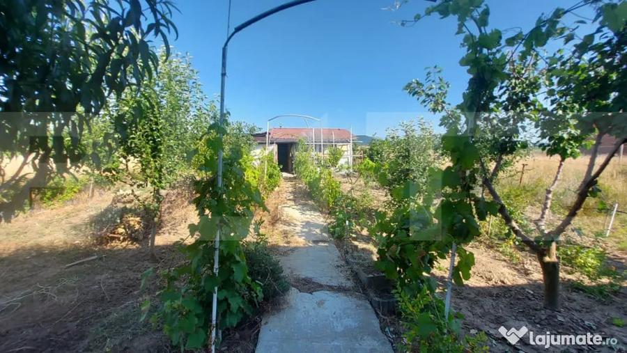 Casă cu 2 camere cu Teren 450 Mp în Dobolii de Jos