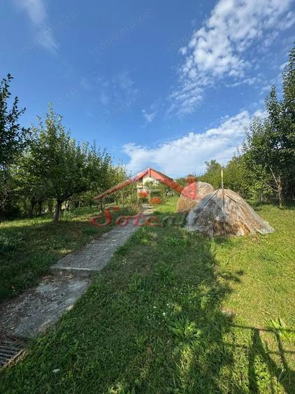 Casă cu Teren 2404 Mp în Cornu