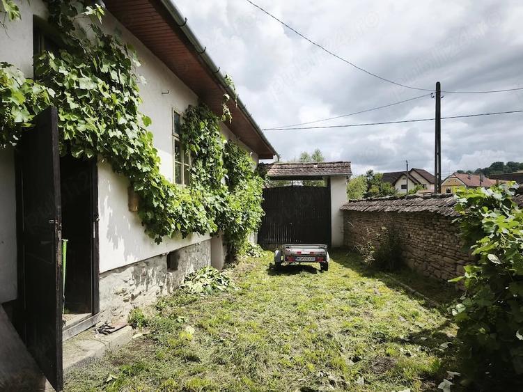 Casă cu Teren 5000 Mp în Apold