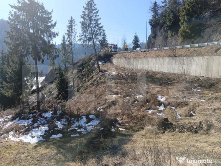 Teren intravilan de vanzare 3100 mp Colibita, front lac - 4