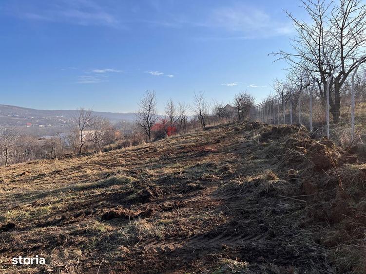 Teren de 2730 mp, în Bârnova