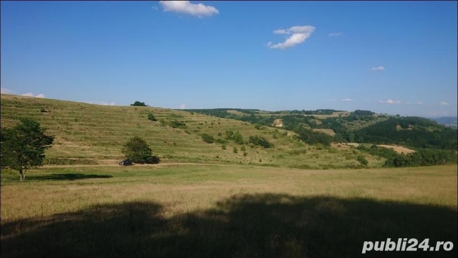Teren,8700 m2,cu priveliste frumoasa. - 4