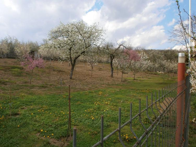 Teren de 120 mp, în Bâscenii de Sus