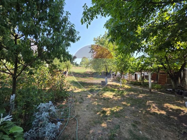 Casă cu 3 camere cu Teren 1400 Mp în Cornești (Adămuș)