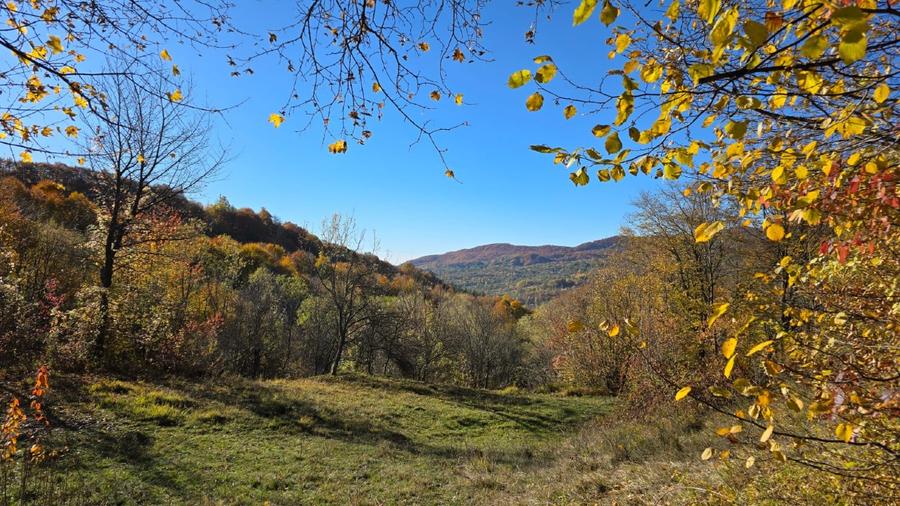 Teren agricol extravilan de 3600 mp, în Arefu