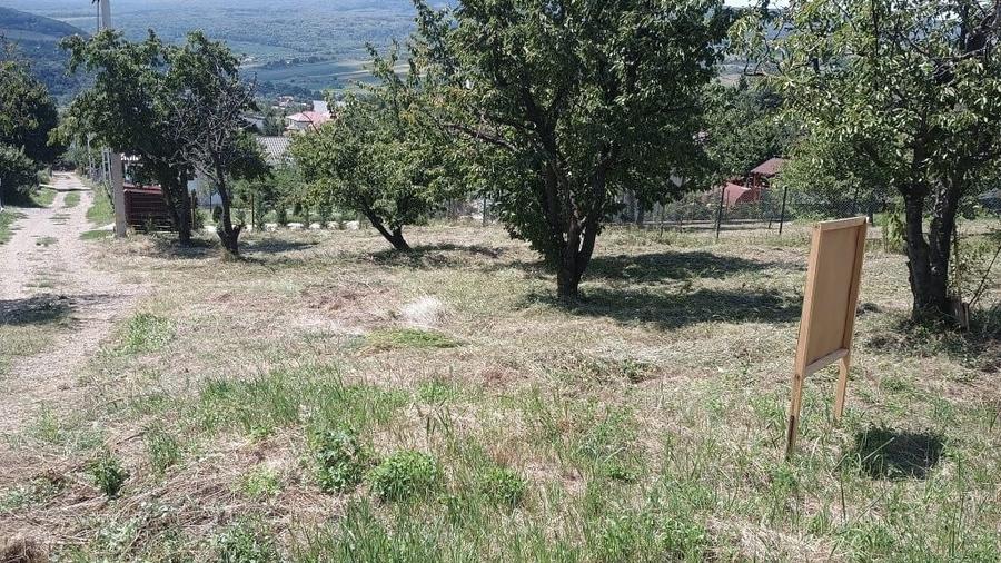 Teren de 3000 mp, în Chicerea