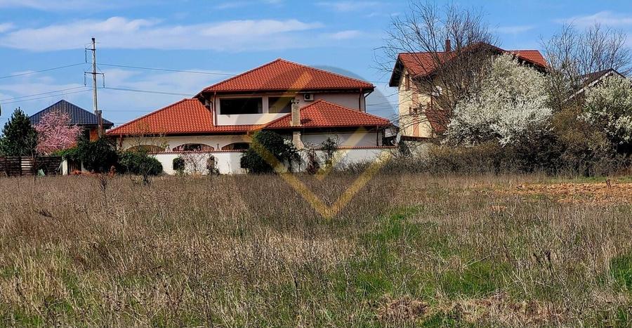 Teren Construcții intravilan de 4900 mp, în Cernica