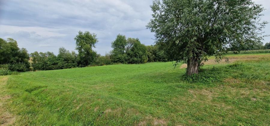 Teren de 5100 mp, în Horodnic