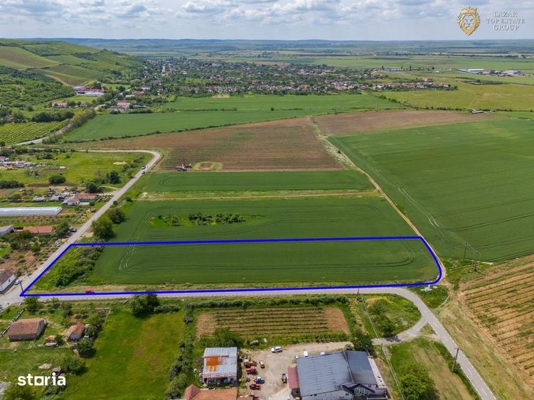 Spațiu comercial, în Miniș