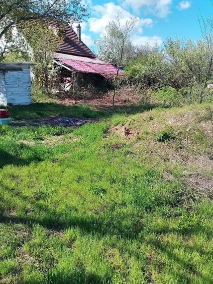 Vand un teren extratabular pe dealul Viilor in Oradea - 5
