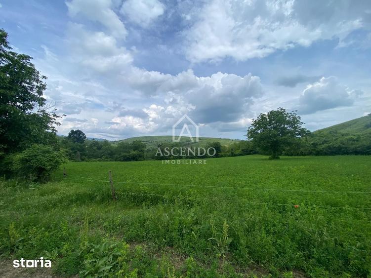 Teren de 15900 mp, în Năeni