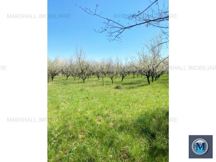 Teren Construcții intravilan de 4036 mp, în Central