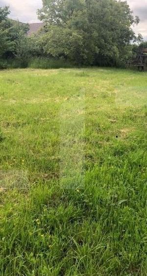 Teren Construcții intravilan de 673 mp, în Dâmbul Rotund
