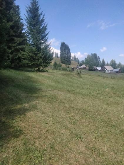 Teren de 2900 mp, în Panaci