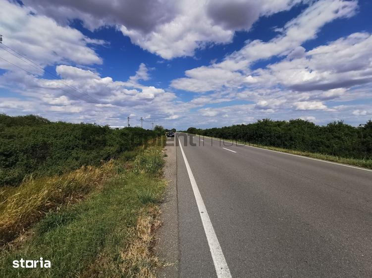 Teren de 11600 mp, în Central