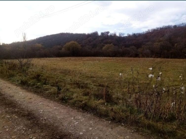 Teren de 10000 mp, în Central