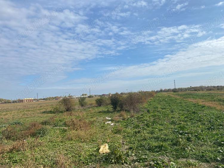 Teren de 3700 mp, în Mărăcineni