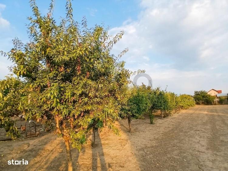 Casă cu 4 camere în Tărian