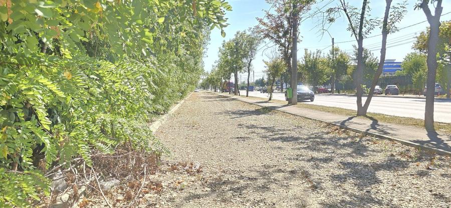 Teren Construcții intravilan de 24460 mp, în Industrială