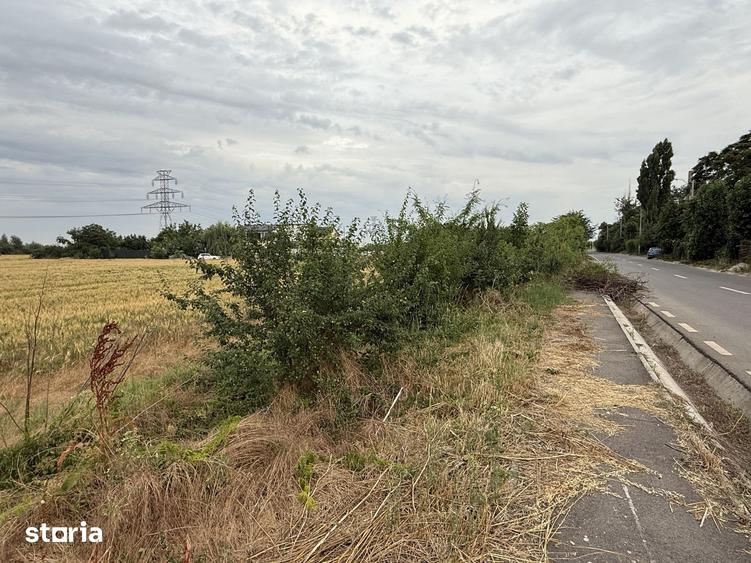 Teren de 5000 mp, în Jilava