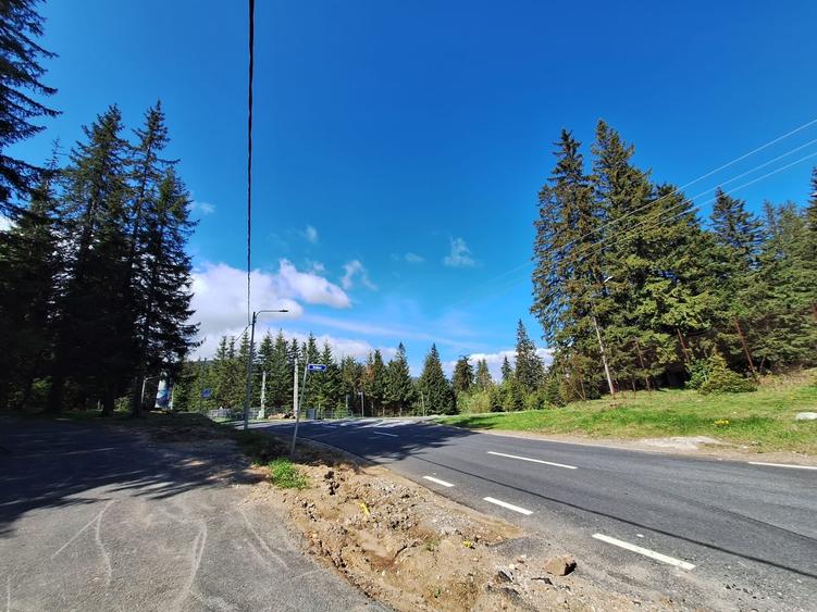 Teren Construcții intravilan de 7000 mp, în Păltiniș